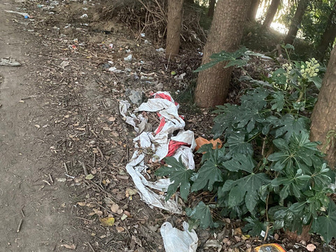 莱芙蔻海景大酒店主图