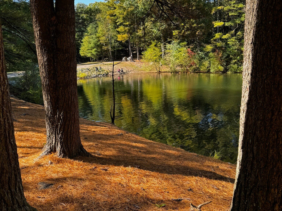 Fairfield Inn & Suites Boston Marlborough/Apex Center主图