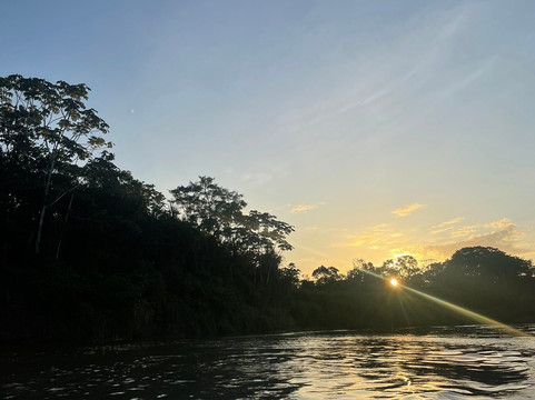 Lupuna jungle tours-伊基托斯必去景点