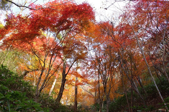 Futatsuyama Castle Ruins