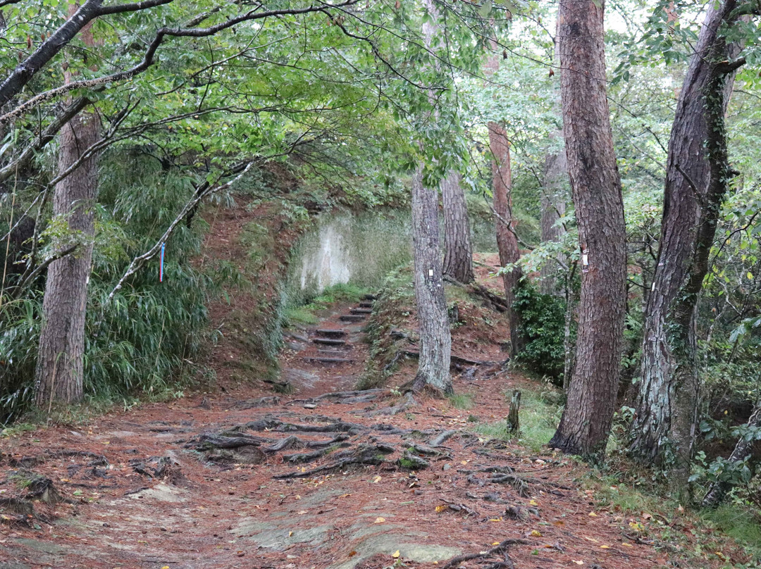 Miyagi Olle Oku-Matsushima Trail-东松岛市必去景点