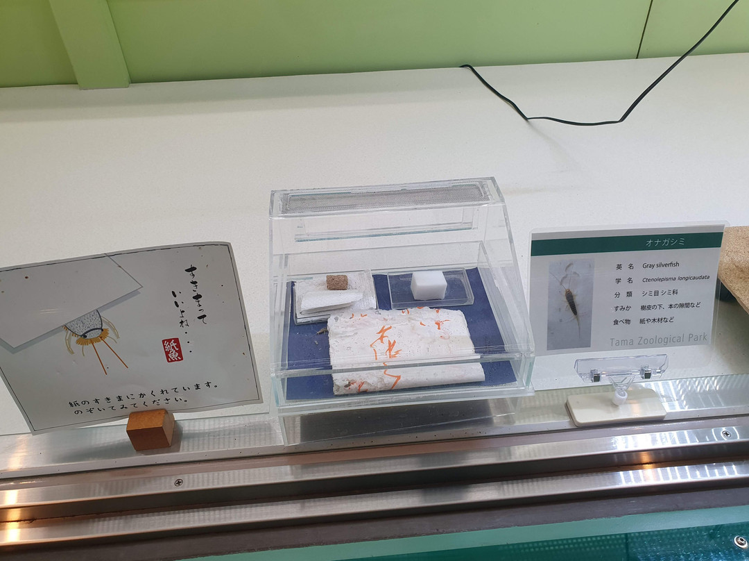 Tama Zoological Park-日野市必去景点