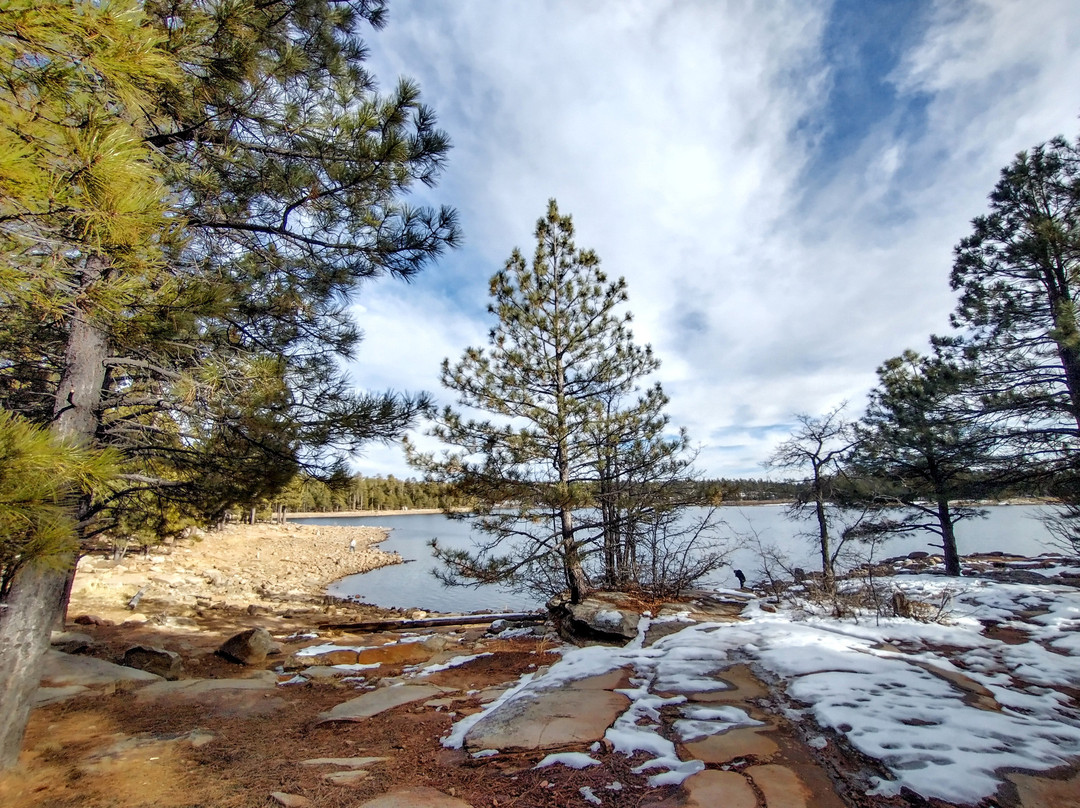 Willow Springs Lake-Forest Lakes必去景点