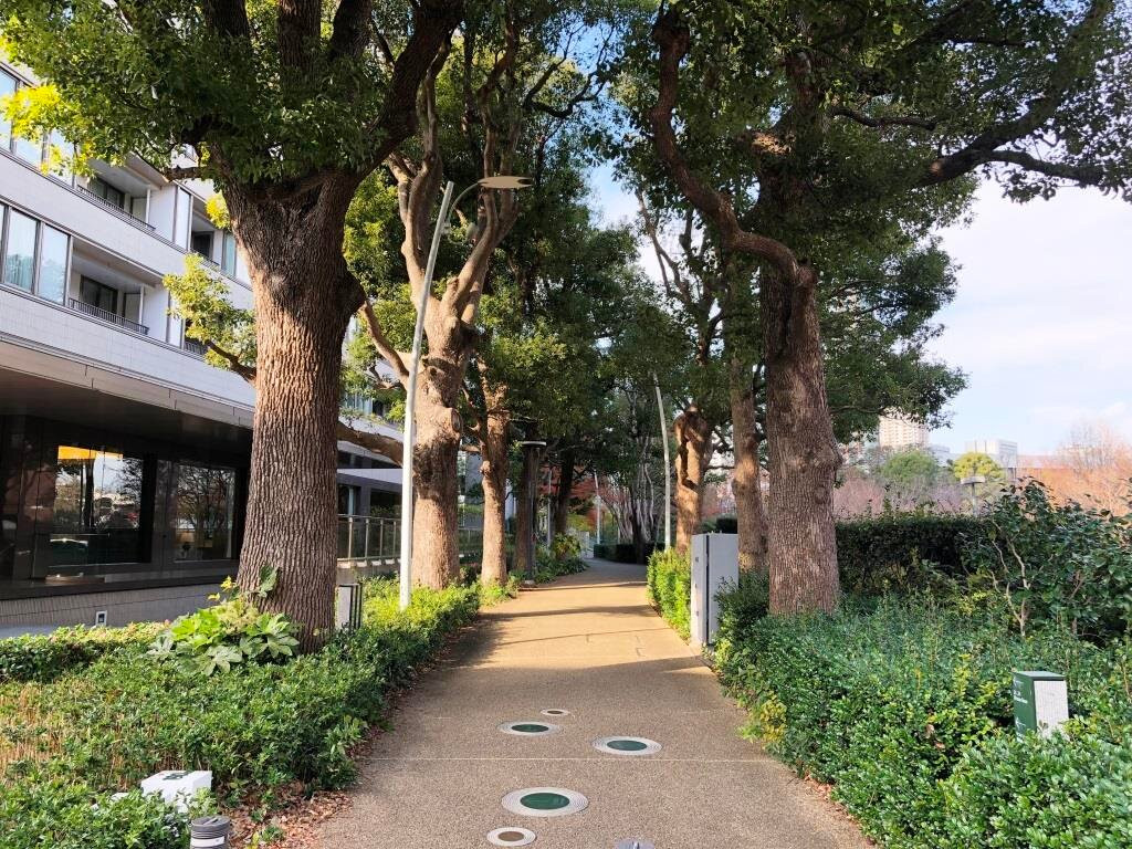 Hinokicho Park-Akasaka必去景点