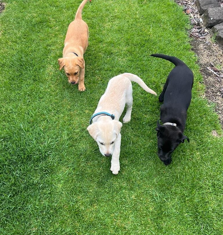 Peterborough Motel主图