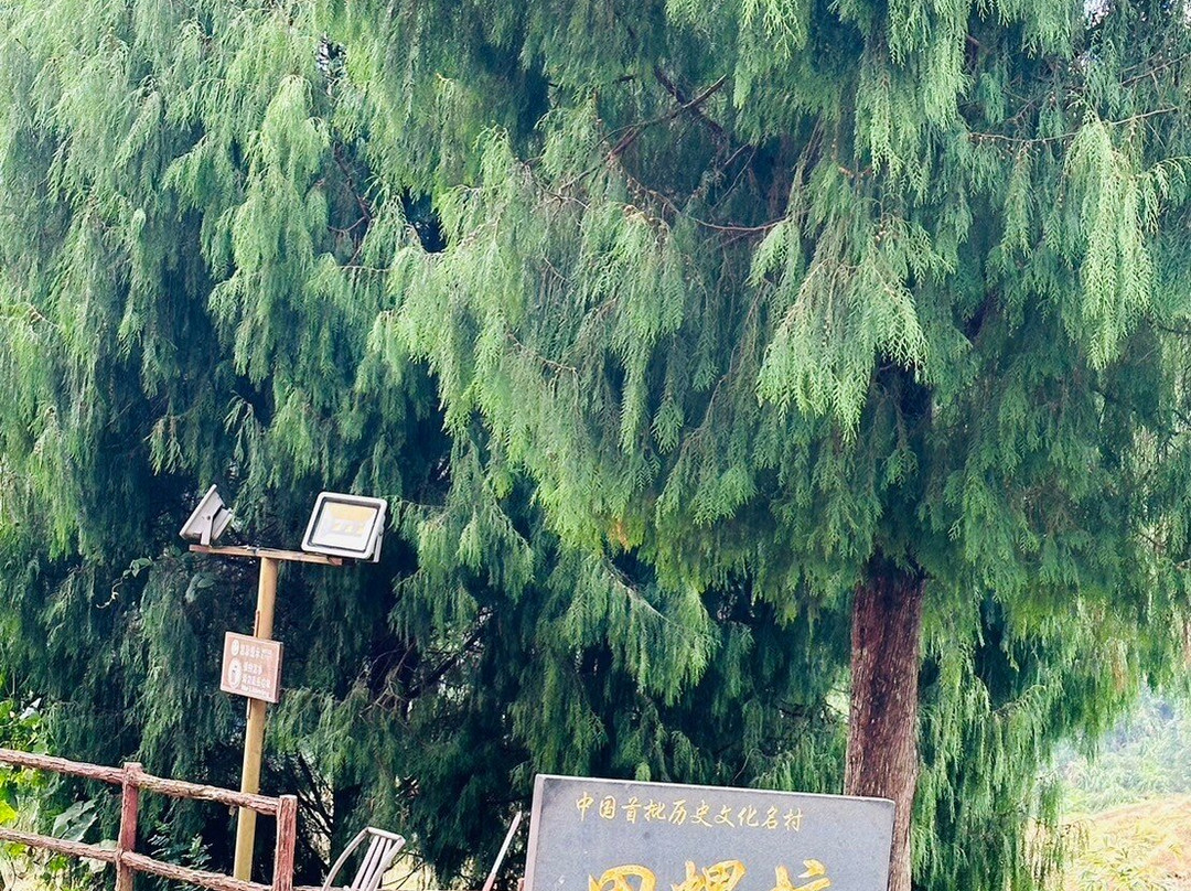 漳州田螺坑村景点图片