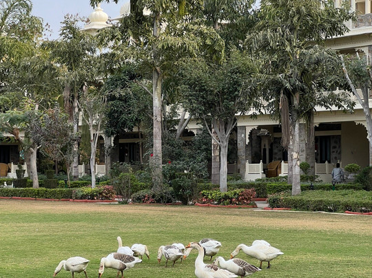 乌代巴度假村主图