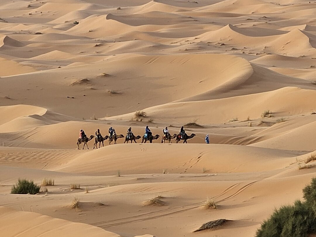 Morocco Desert Sahara Tours-卡萨布兰卡必去景点
