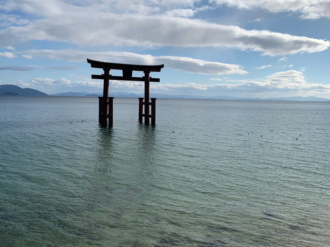 白须神社景点图片