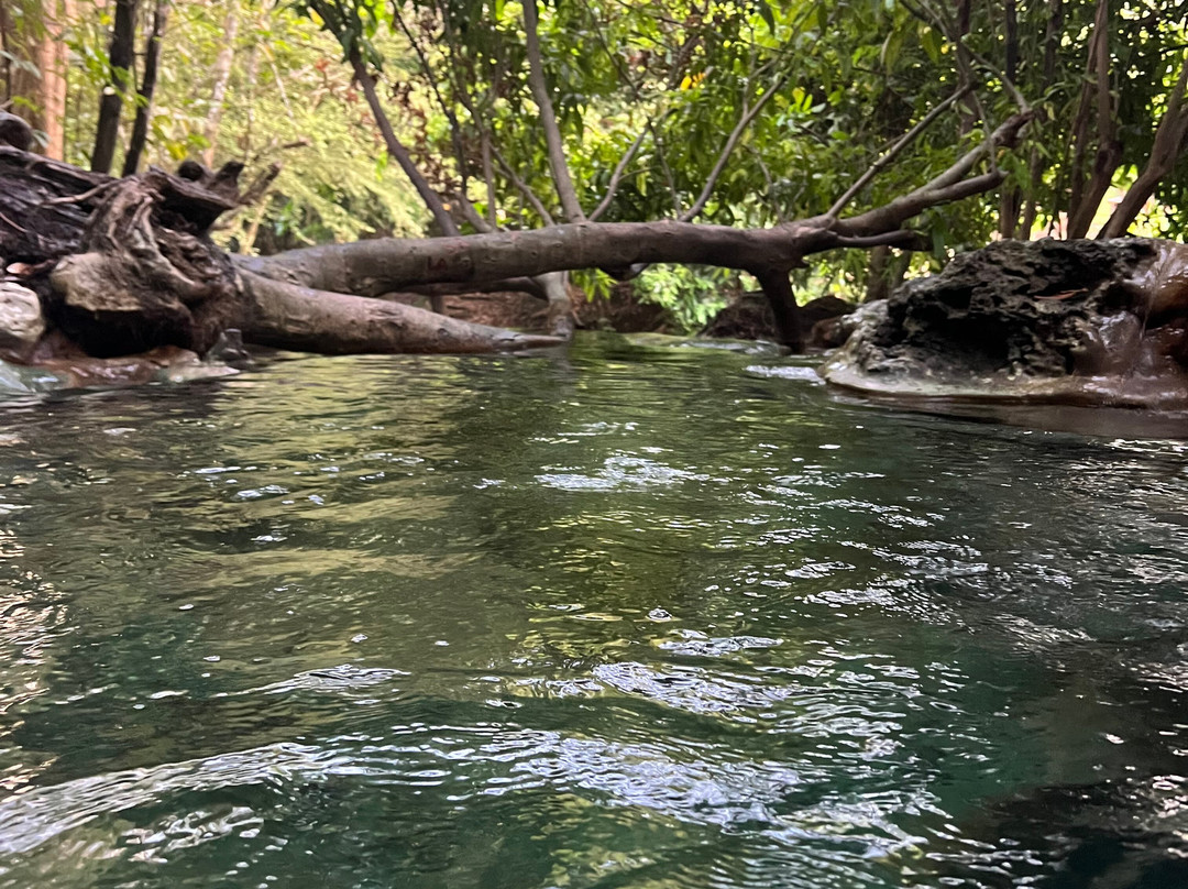 Namtok Ron (Hot Spring Waterfall ) - Khlong Thom景点图片