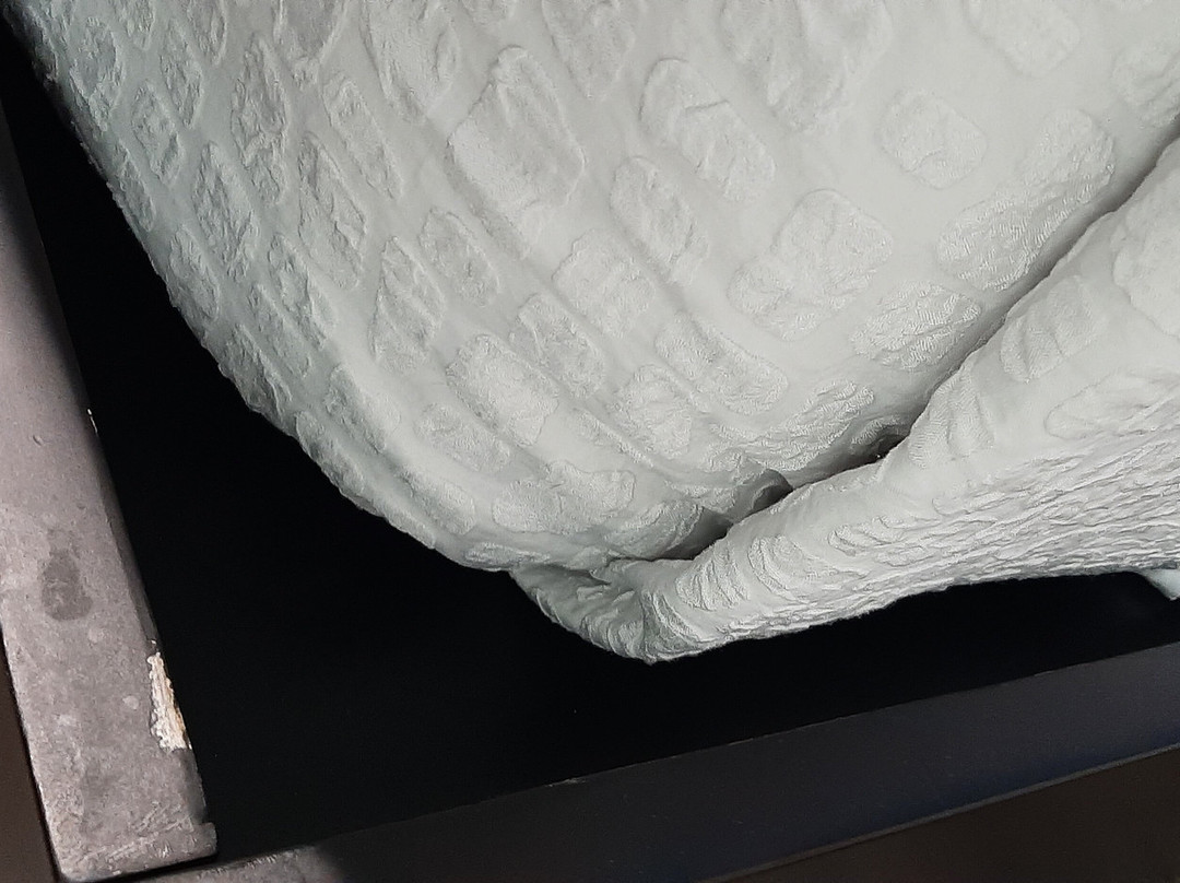 SureStay Plus By Best Western Humble主图