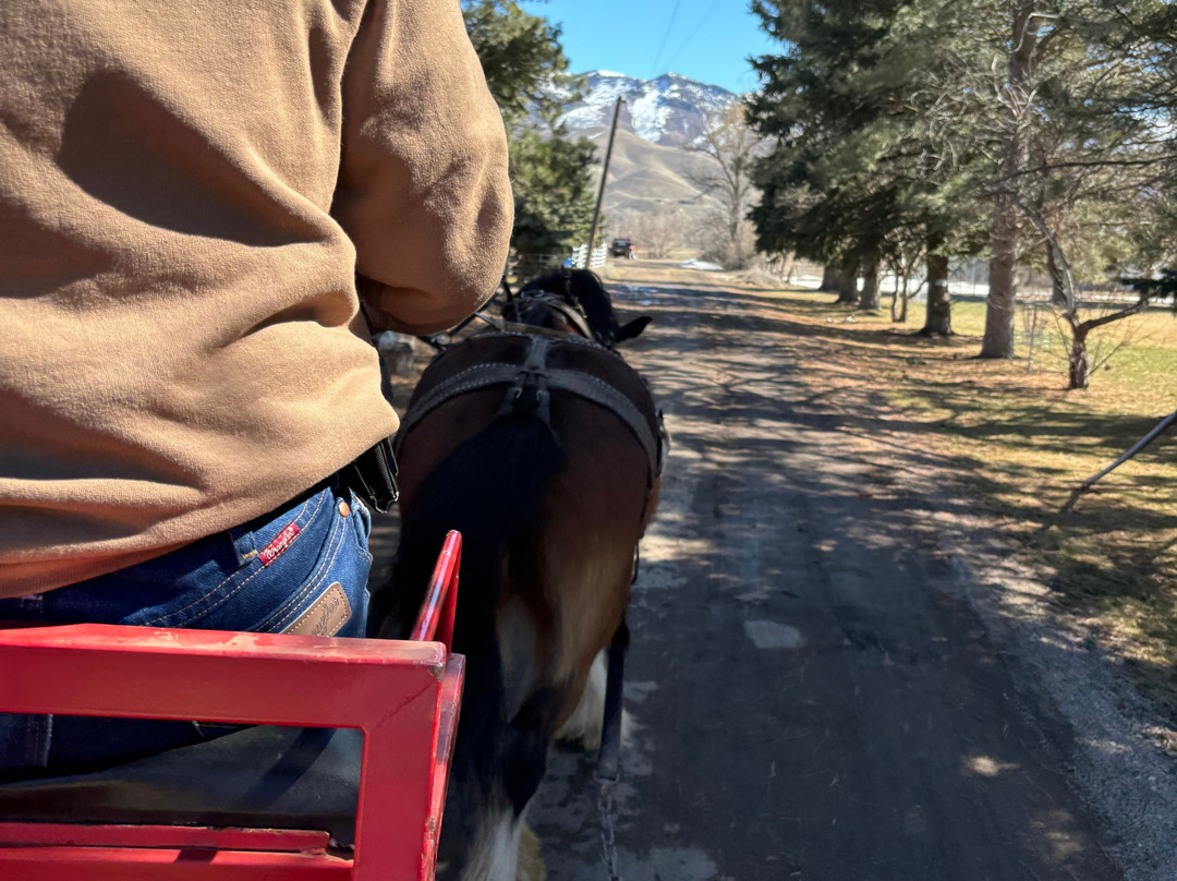 Thurston Farms-Morgan必去景点