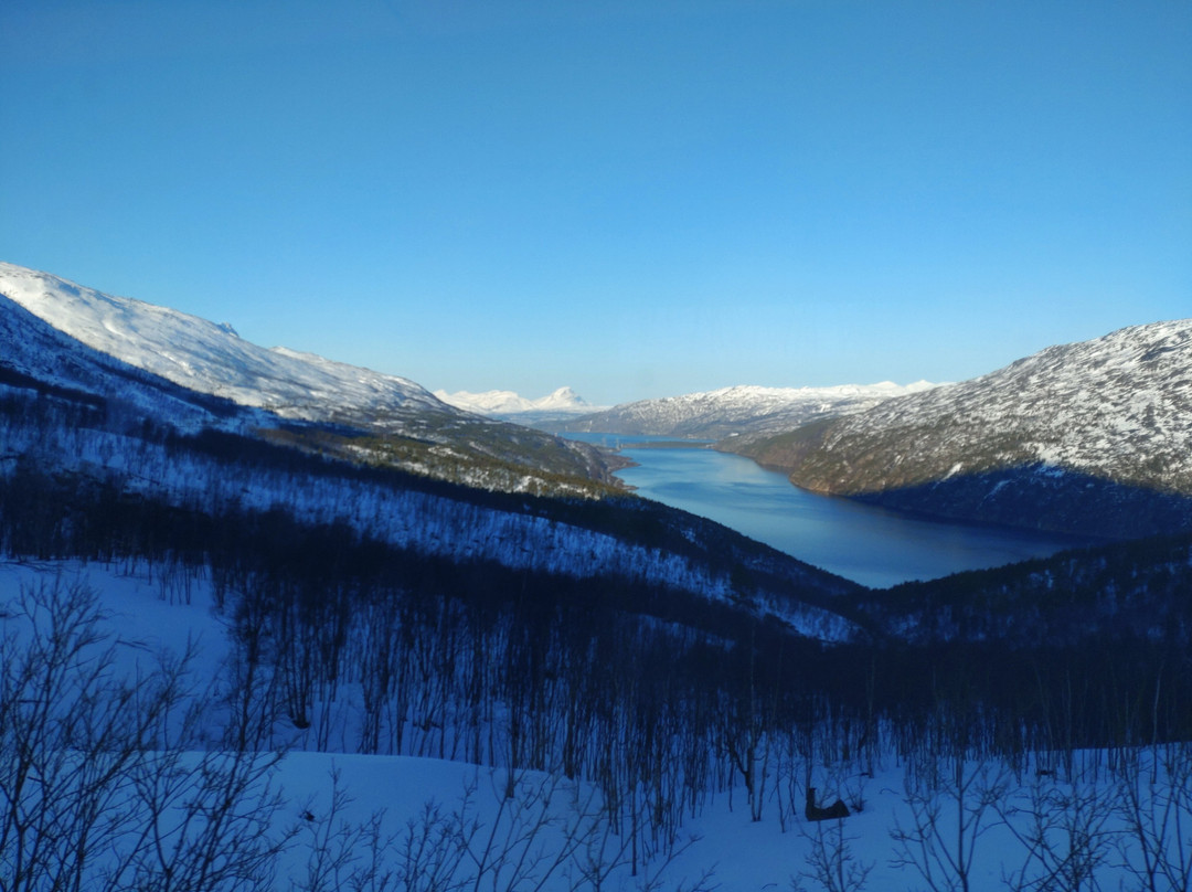 Arctic Train景点图片