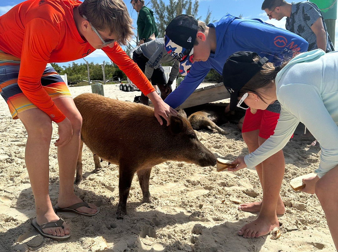 Brendal's Dive Center-Green Turtle Cay必去景点