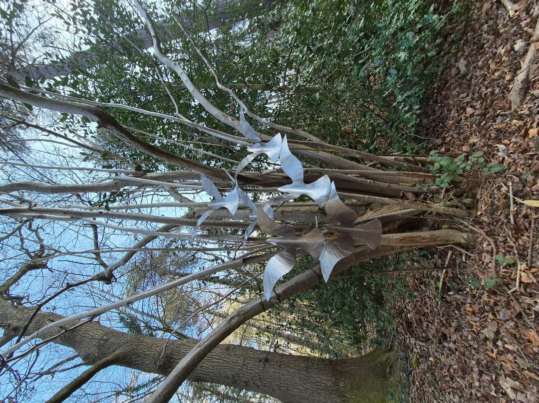 Holt Country Park景点图片