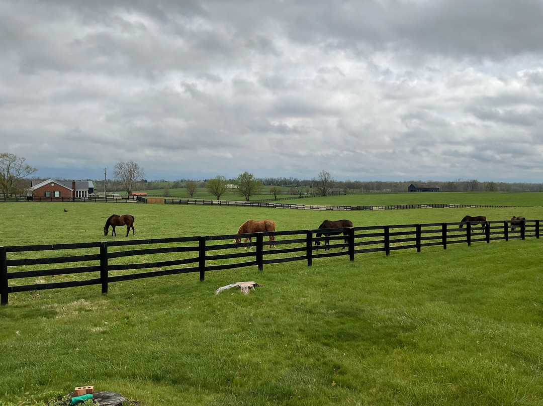 The Guesthouse at Rosecrest Farm主图