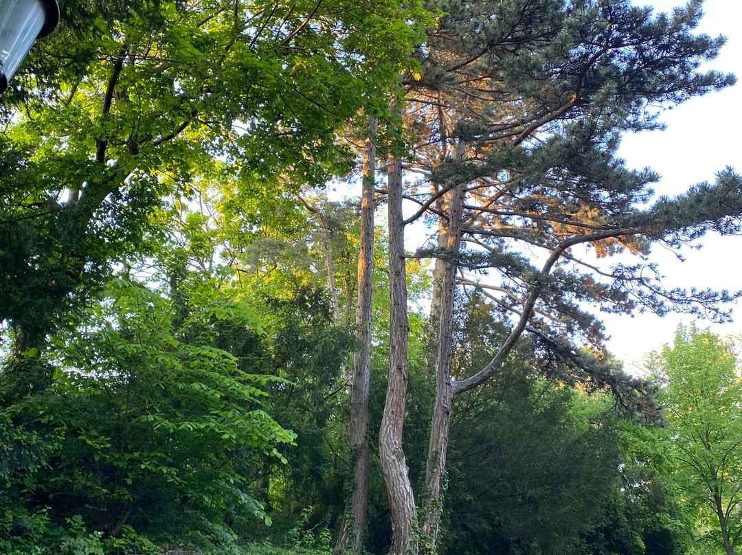 Türkenschanzpark-维也纳必去景点