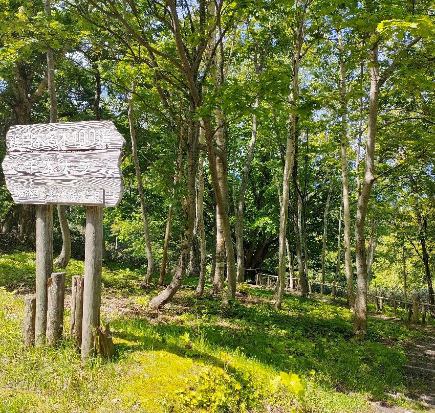 Sembon Nara-石狩市必去景点