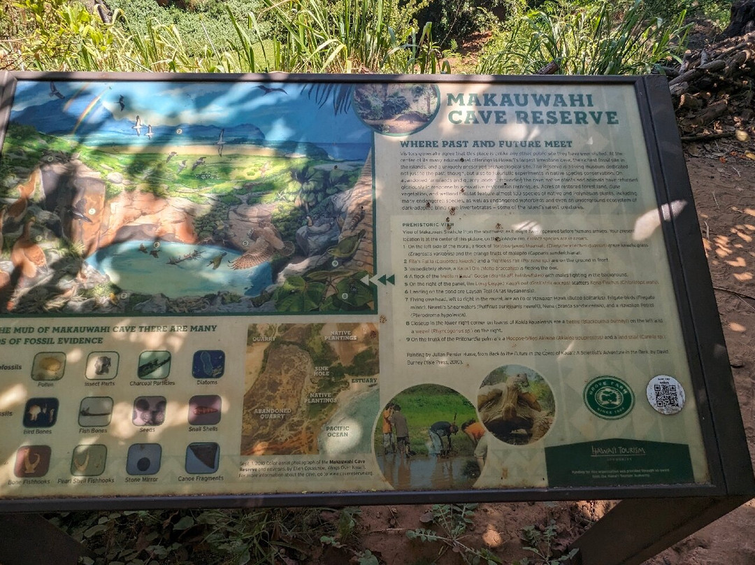 Makauwahi Cave Reserve-卡拉西奥必去景点