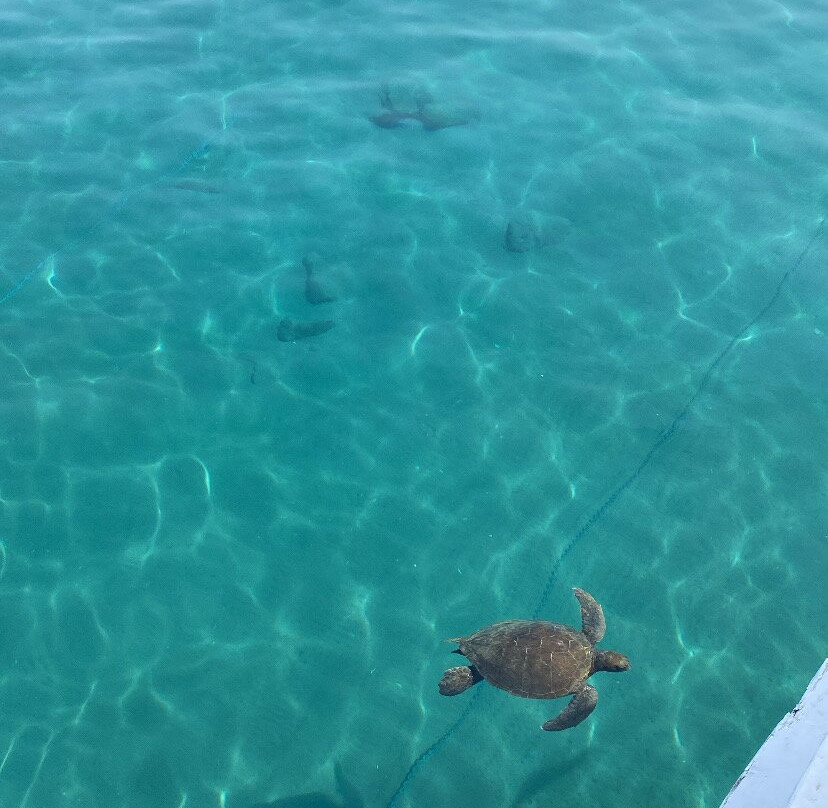 Kekova Tekne Turu - Kekova Boat Trip景点图片