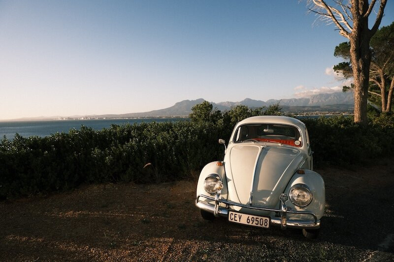 Berg Road Bugs-Grassy Park必去景点