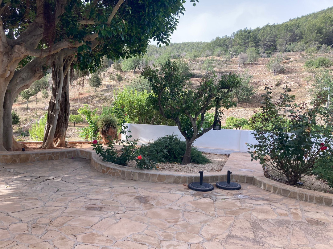 Agroturismo Ca Sa Vilda Marge主图