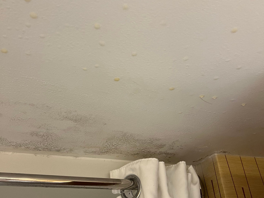 Holiday Inn Express Big Rapids by IHG主图