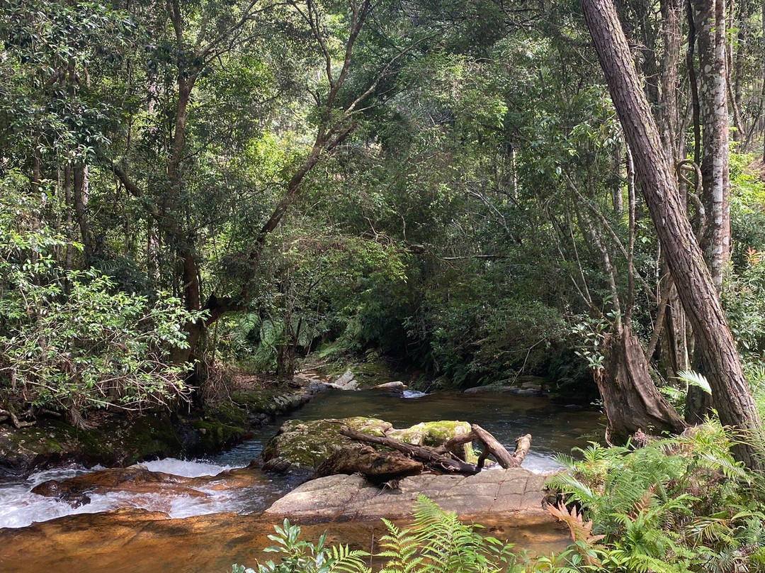 Vietnam Riders Motorcycle Tours-大勒必去景点