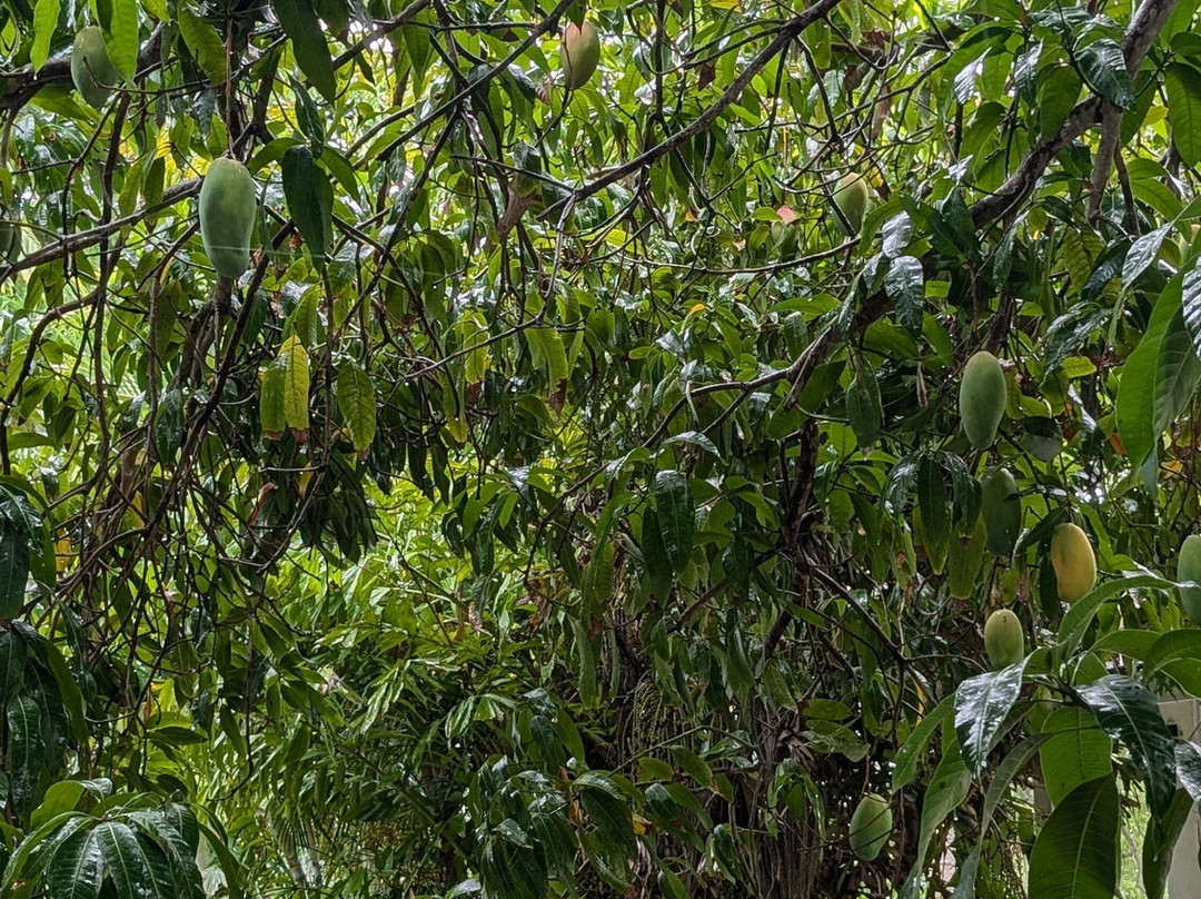 SeaGlass Inn Bed and Breakfast主图