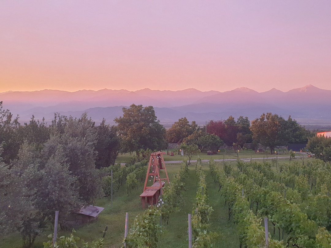 Schuchmann Wines Chateau, Villas & SPA主图