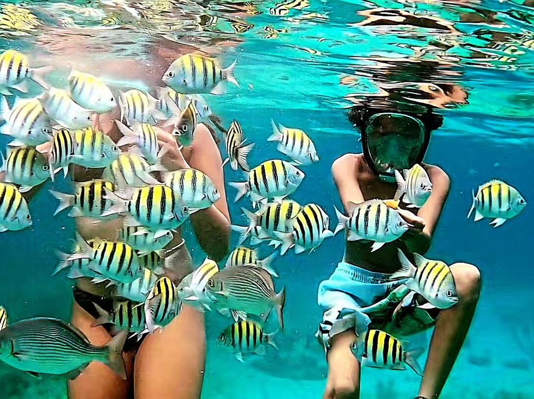 Sunbaby Glass Bottom Boat-内格里尔必去景点