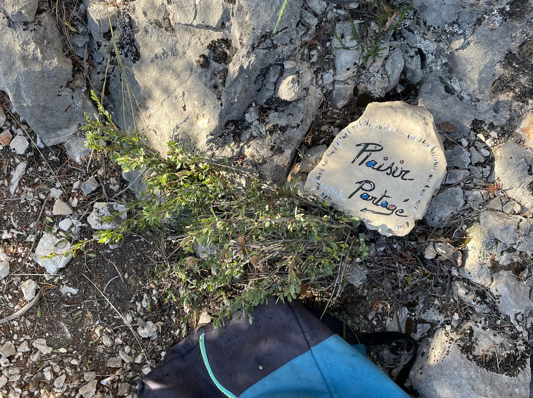 Rock N Wild景点图片