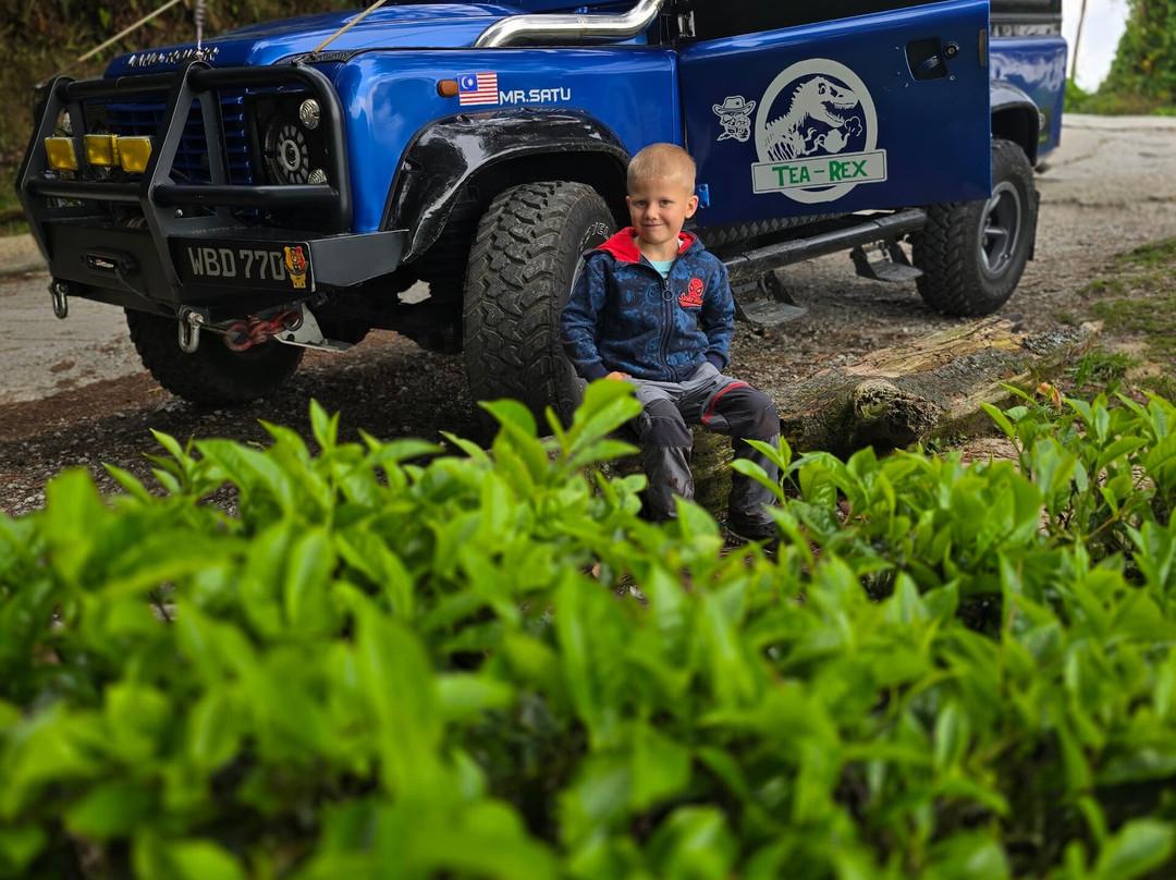 Mossy Cameron Travel & Tours SDN BHD-金马仑高原必去景点