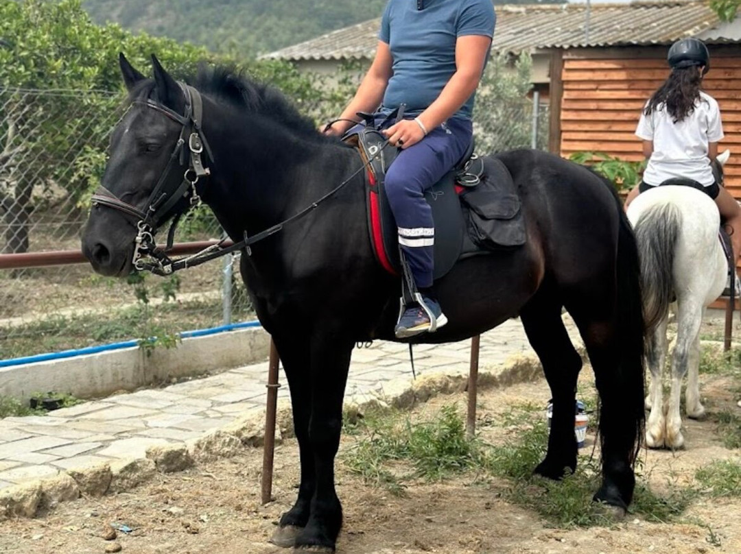 NiVa Ranch Rhodes-Kremasti必去景点