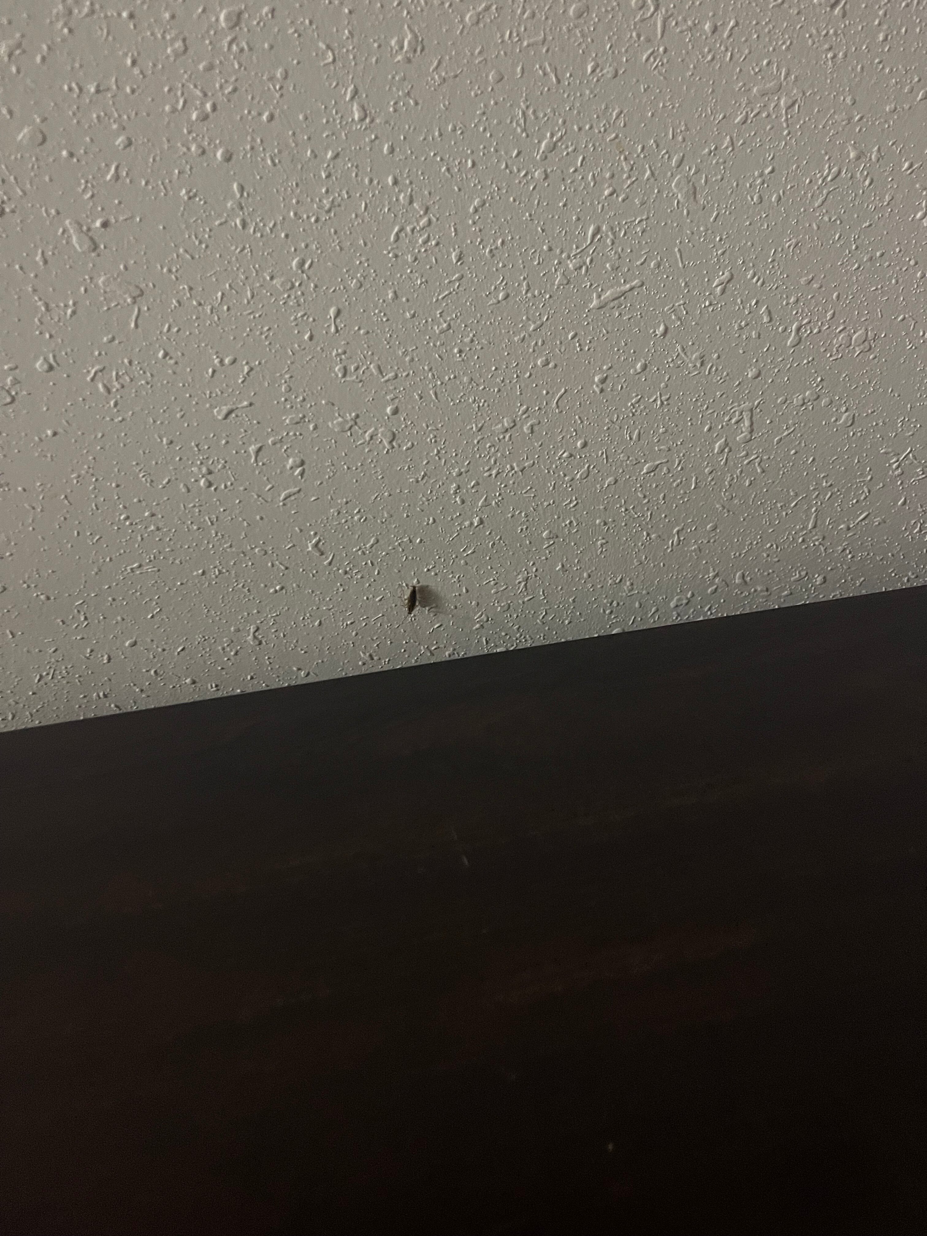 Red Roof Inn Monteagle - I-24-客卧