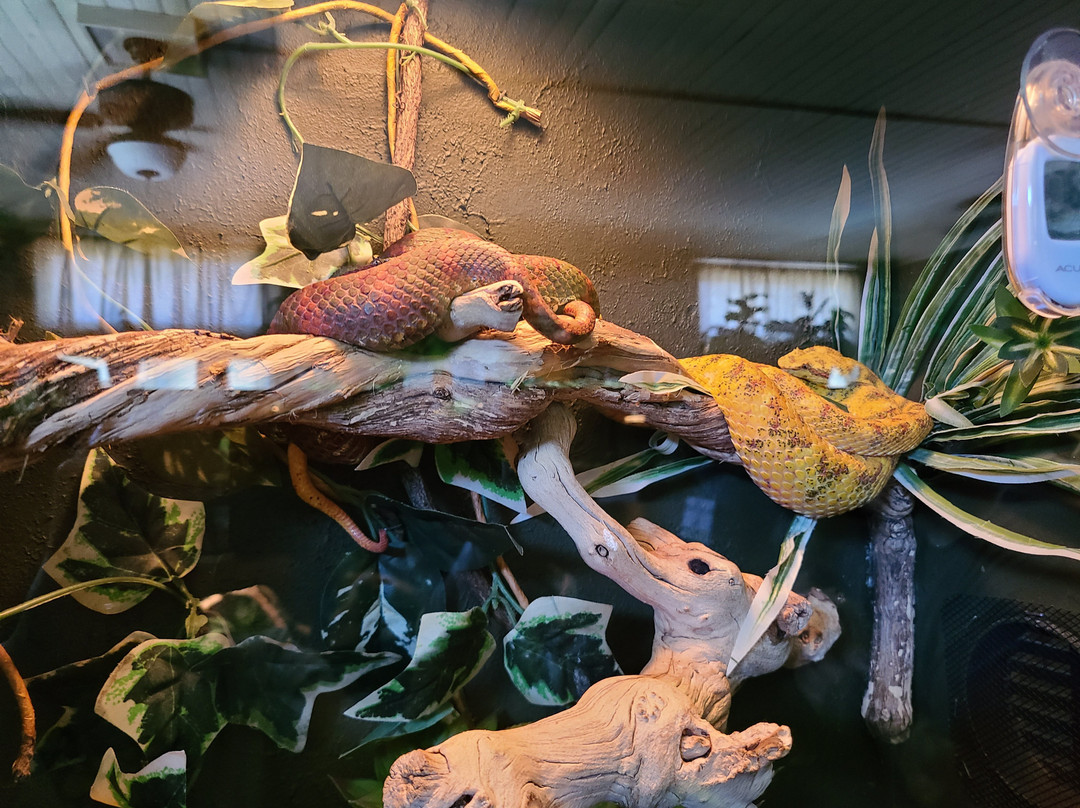 The Serpent Center-Vance必去景点