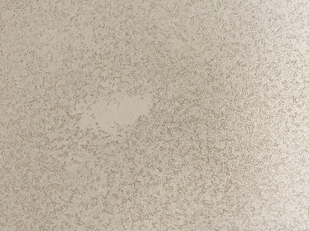 Courtyard by Marriott Cleveland Willoughby主图