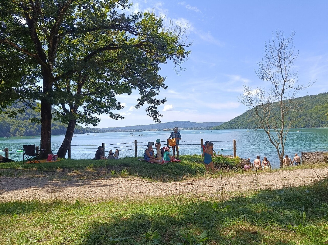 Lac de Chalain景点图片
