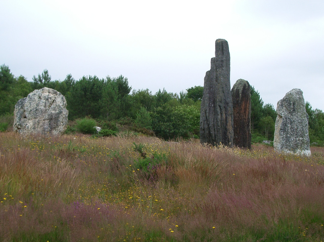 Site Mégalithique de Saint-Just景点图片