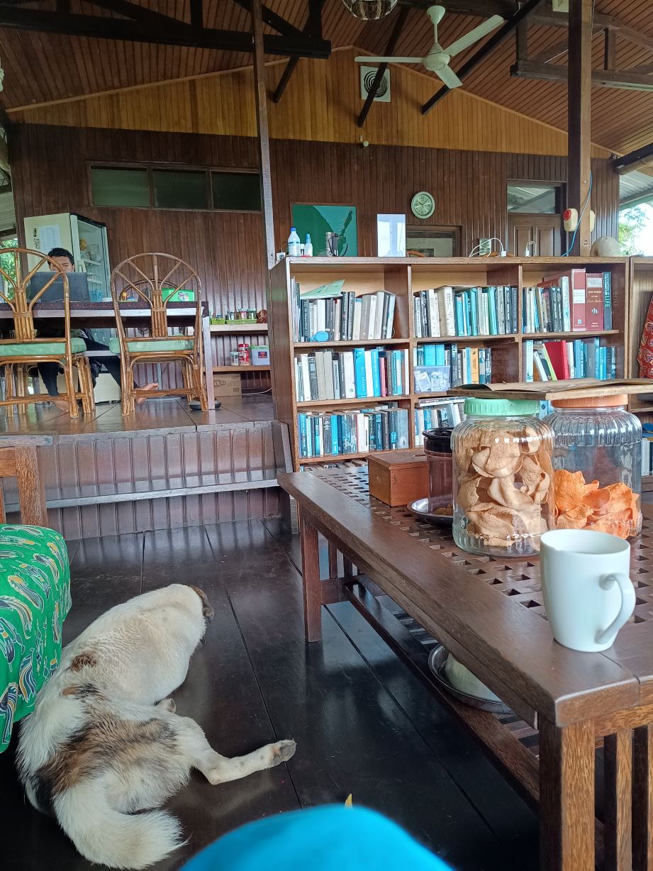 Divers Lodge Lembeh-浴室