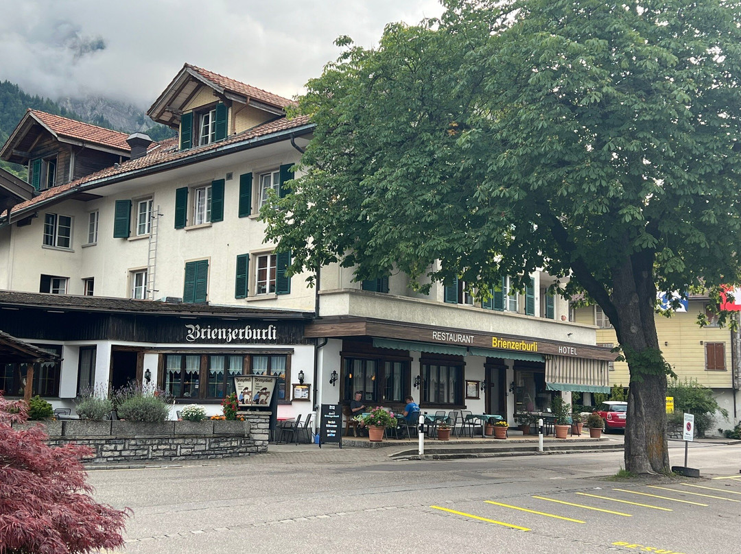 Hotel Brienzerburli主图