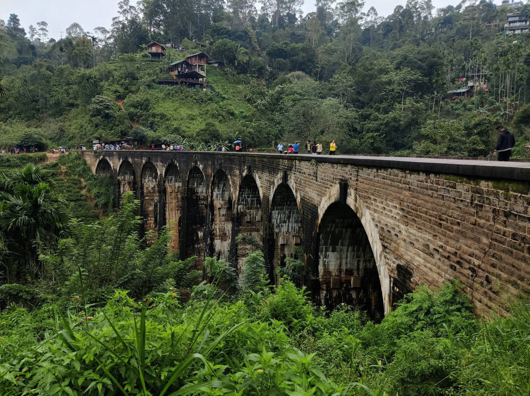 Ceylon Visit Tours景点图片