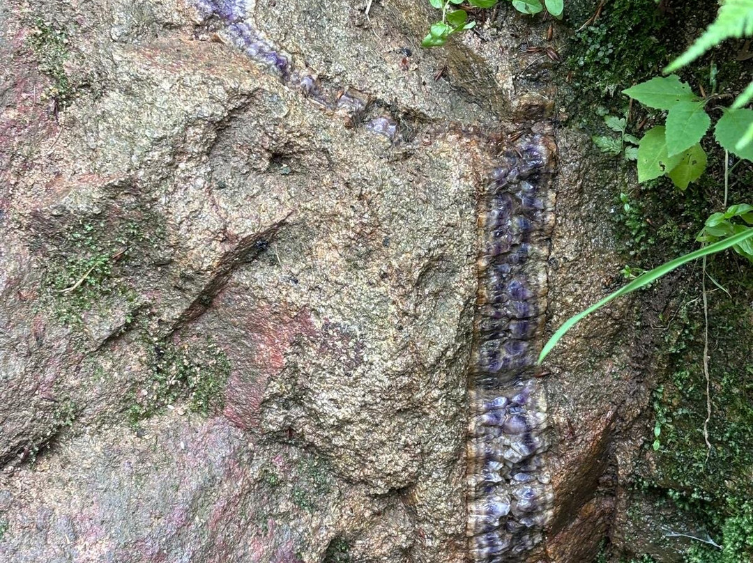 Amethystes d'Auvergne景点图片