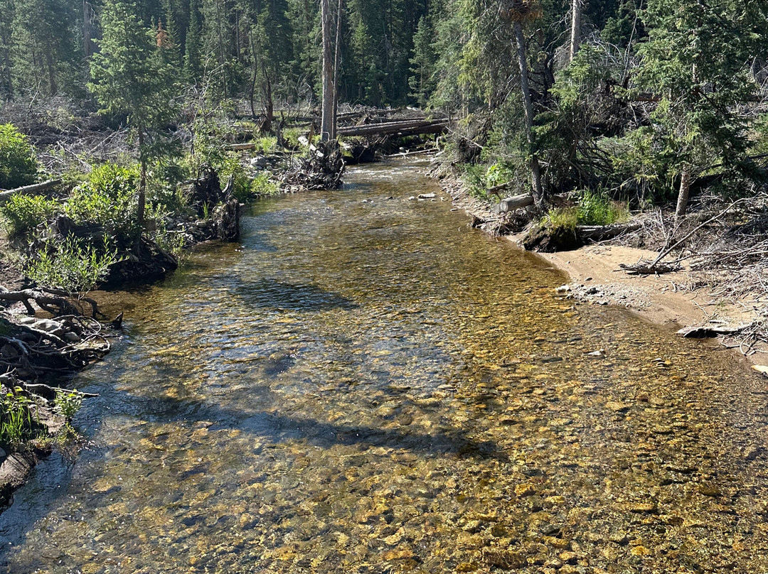 Monarch Lake Loop Trail-格兰比必去景点