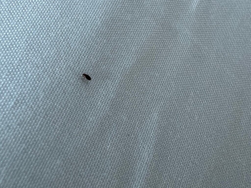 Home2 Suites by Hilton Prattville-客卧