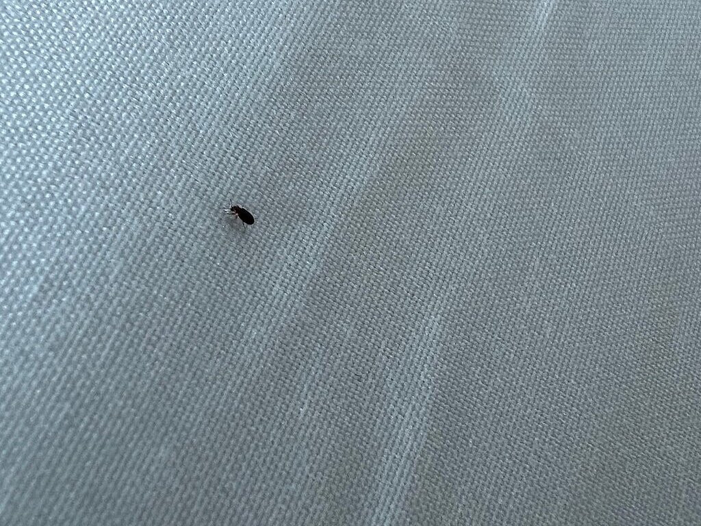 Home2 Suites by Hilton Prattville主图