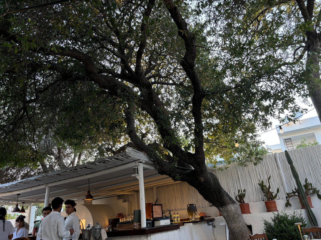 Core by Clare Smyth