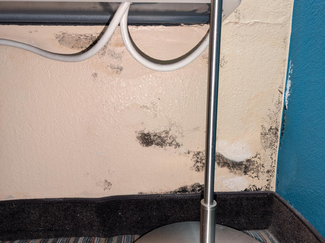 Best Western Warren Hotel主图