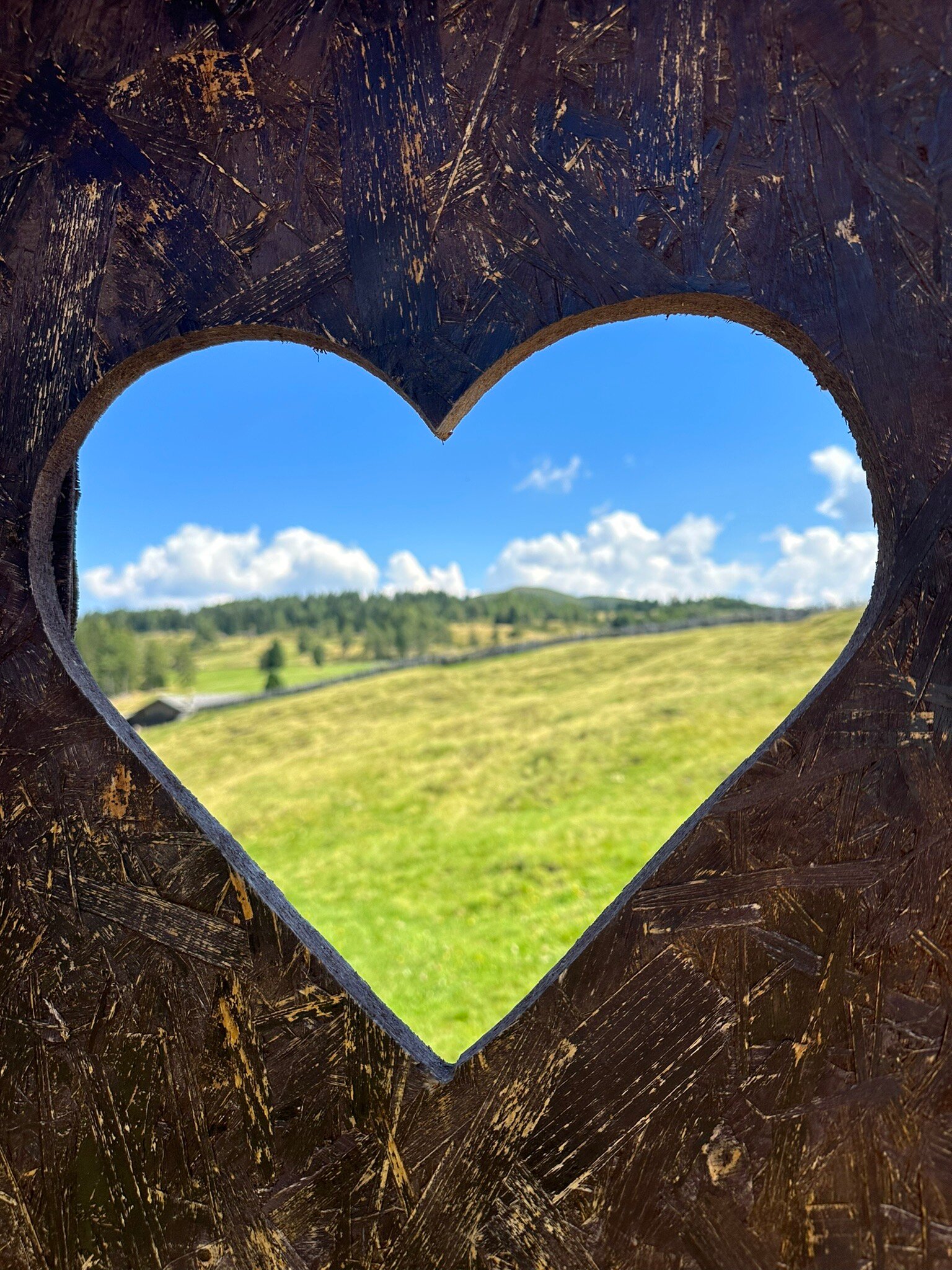 Waldheim Belvedere Hotel-官方