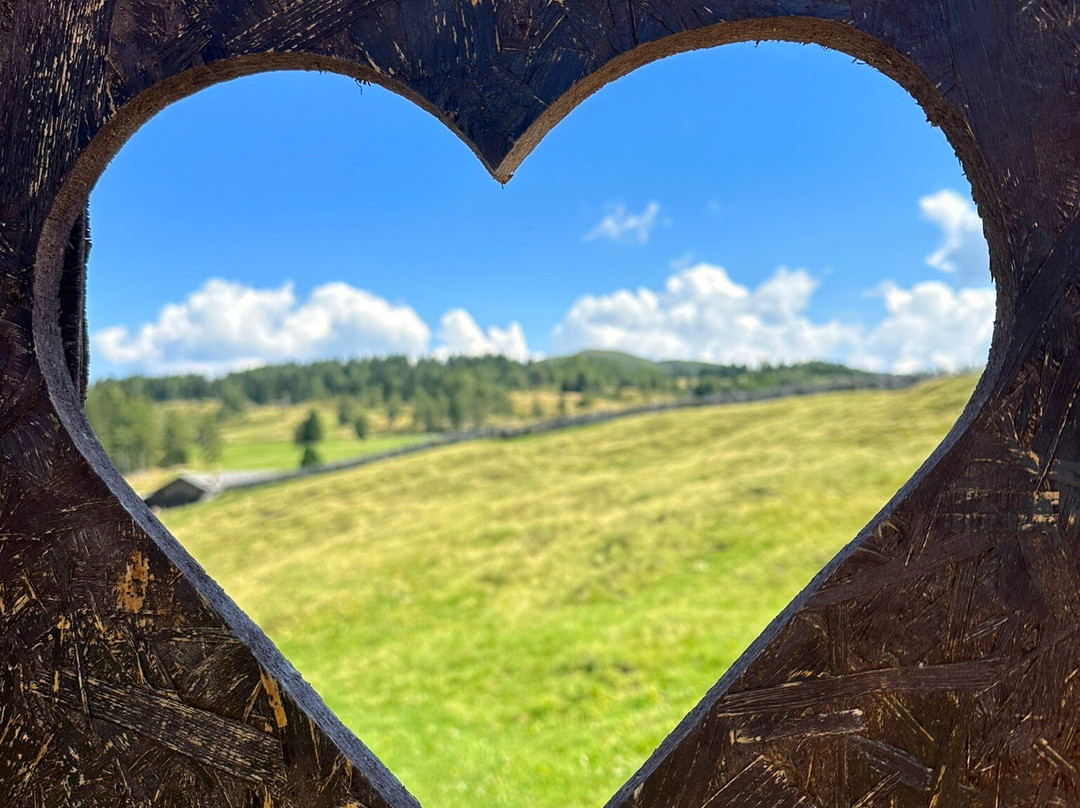 Waldheim Belvedere Hotel主图